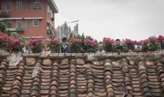 1000���򲹳������᣿���ݡ����з���