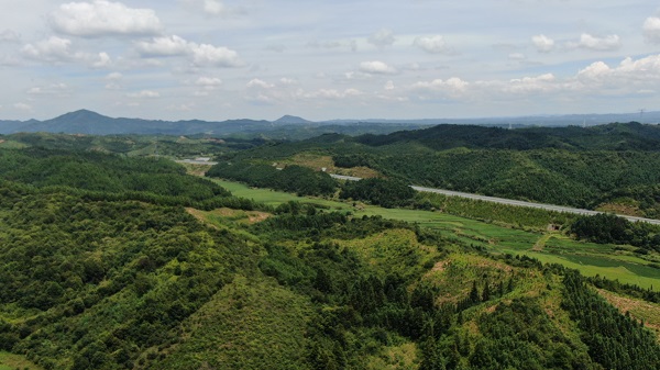 ������ɱ�����߼���:��һ��ʼ���� �򲻻��к����װ�