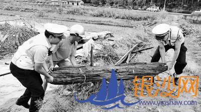 人民至上 生命至上——各地防汛抗洪一线见闻