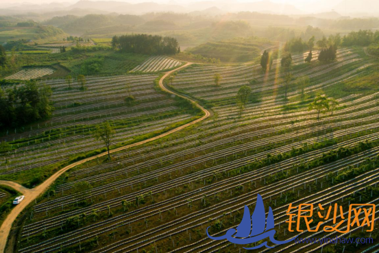  ����úþ�׼֮����