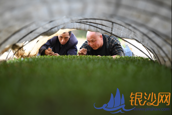  ����úþ�׼֮����