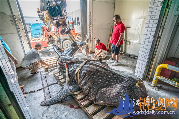 ���˰��Ľ��� �������尲Ȼ���