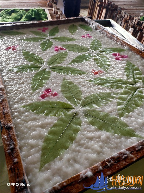 ��������ֽ ����������