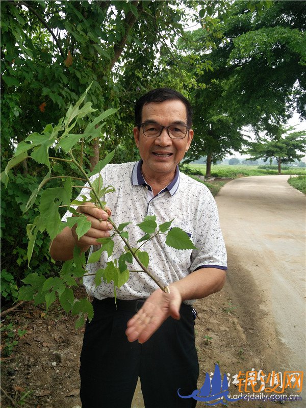 ��������ֽ ����������