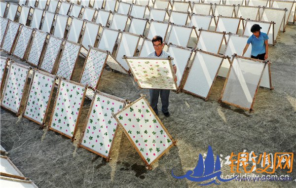 ��������ֽ ����������