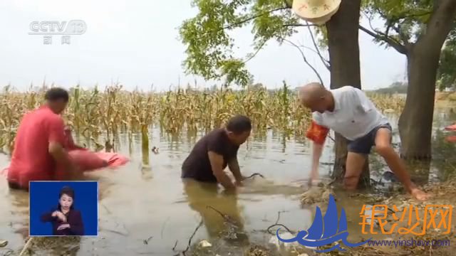  ��ˮ�� �����С�����Ӱ�ػ�ƽ��