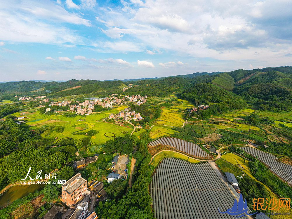 �������ݣ��������������ʫ��