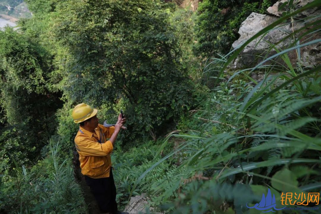  ������Ϯ����λ�ϱ�ͽ���߽���ɽ��