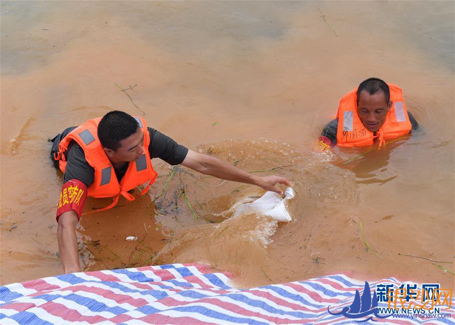 ����Ѵ���顤ͼ�Ļ�������2�����鳤���ϵġ���������