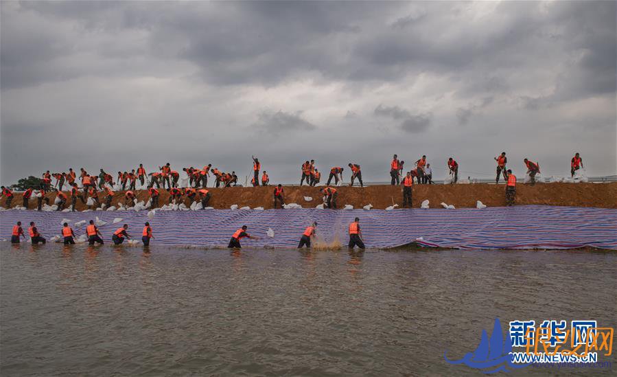 ����Ѵ���顤ͼ�Ļ�������1�����鳤���ϵġ���������