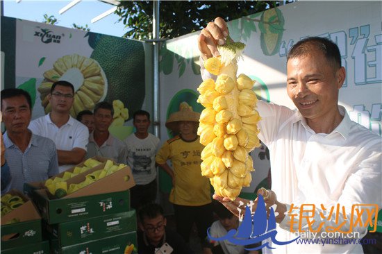 տ��������ɳ��ζ������������