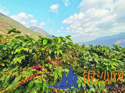  ���ϣ���ɫ��ɳ���������˶���������չ