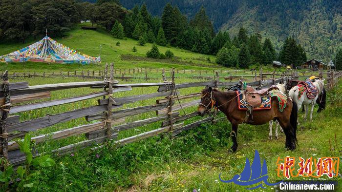 景美客自来 西湛江碧海银沙藏林芝农牧民旅游脱贫记