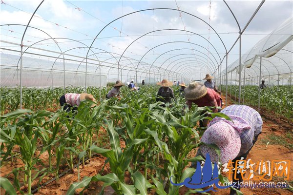 增强内生动力 构建防范返贫长效机制--碧海银沙论坛