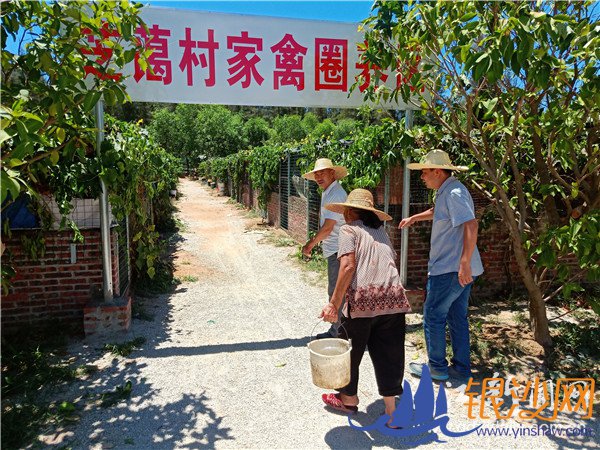 ��Ѽ��--�̺���ɳ��̳