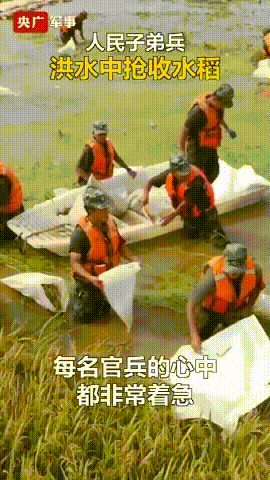  ȫ�ܵı���磡���˿��飬���ǻ�����Щ�����ܡ�--�̺���ɳ��̳