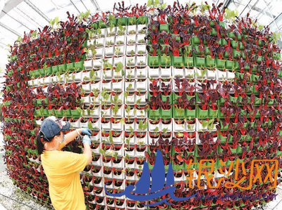  ���ֻ�Ϊ����ũ����չ�������������й���--�̺���ɳ��̳