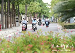 电动自行车咋上牌?这些流程需清楚--湛