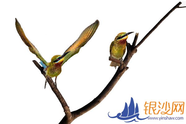 ���й�����С������տ��������--�̺���ɳ��̳