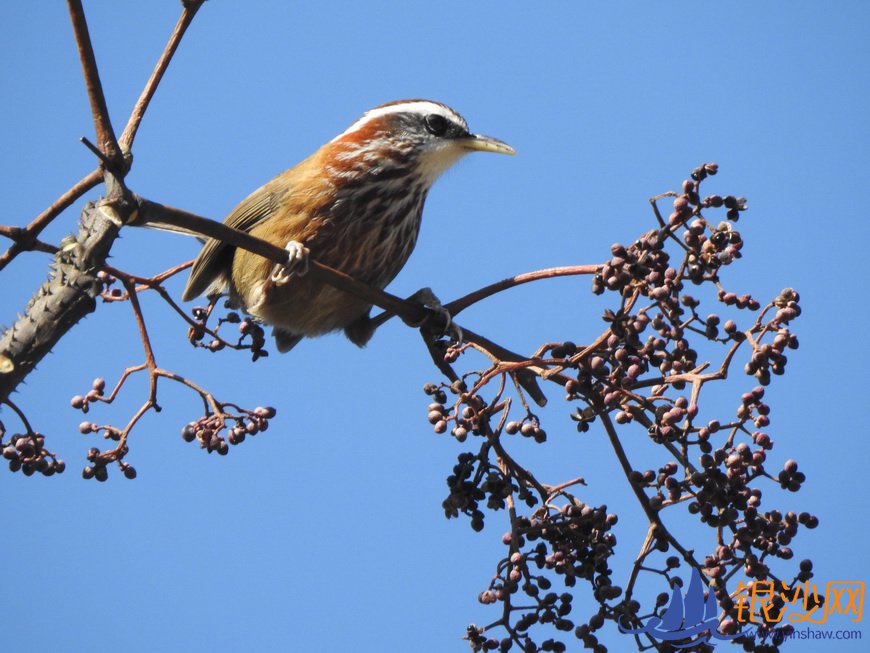  �ָ��ѧ��վ��������������ڹ��ݡ��仧��--�̺���ɳ��̳