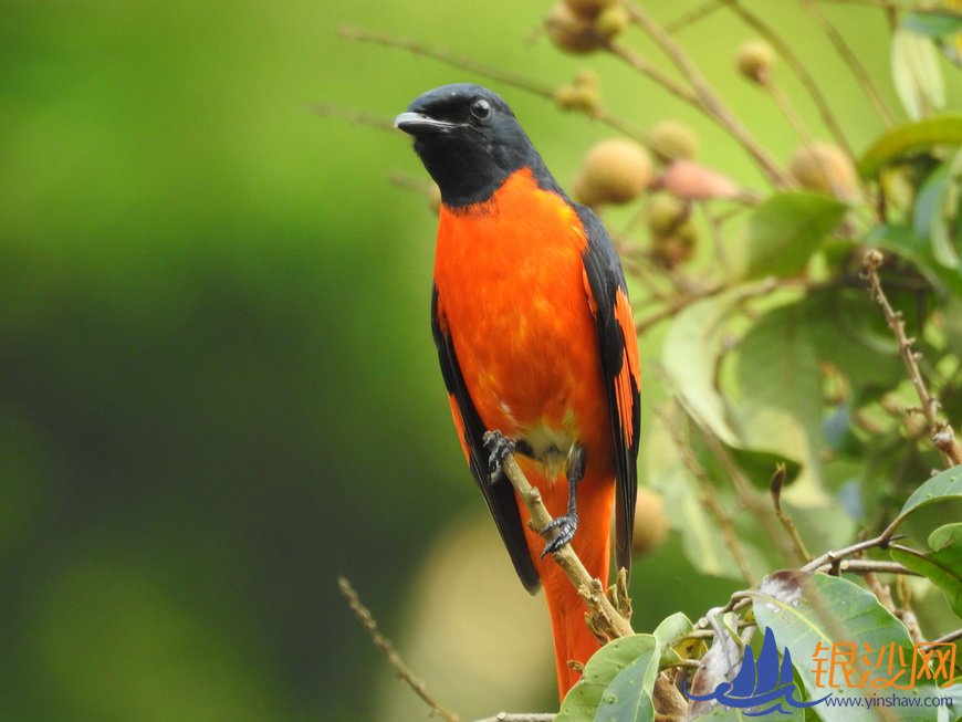  �ָ��ѧ��վ��������������ڹ��ݡ��仧��--�̺���ɳ��̳