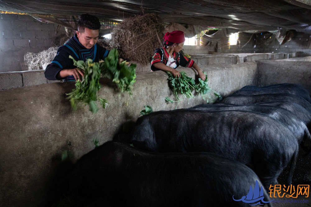  ��ƶ�󲻷�ƶ�����������Ŭ���ķ���--�̺���ɳ��̳