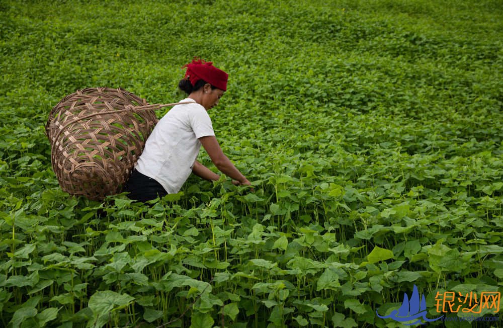  ��ƶ�󲻷�ƶ�����������Ŭ���ķ���--�̺���ɳ��̳