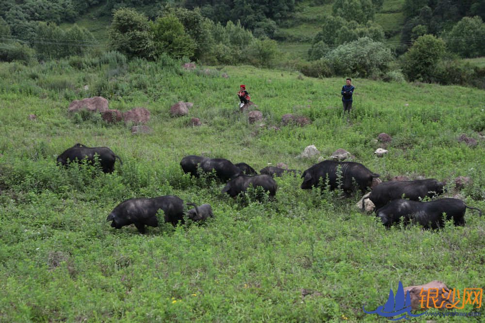  ��ƶ�󲻷�ƶ�����������Ŭ���ķ���--�̺���ɳ��̳