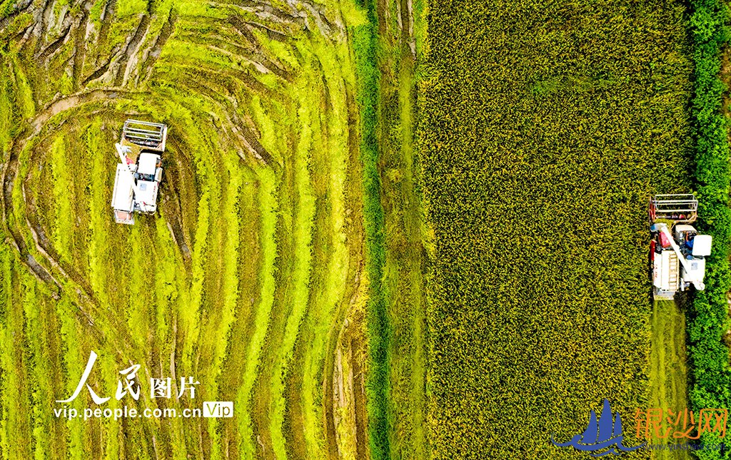 ����®����ˮ���˽� �ֺ��Ծ�--�̺���ɳ��̳