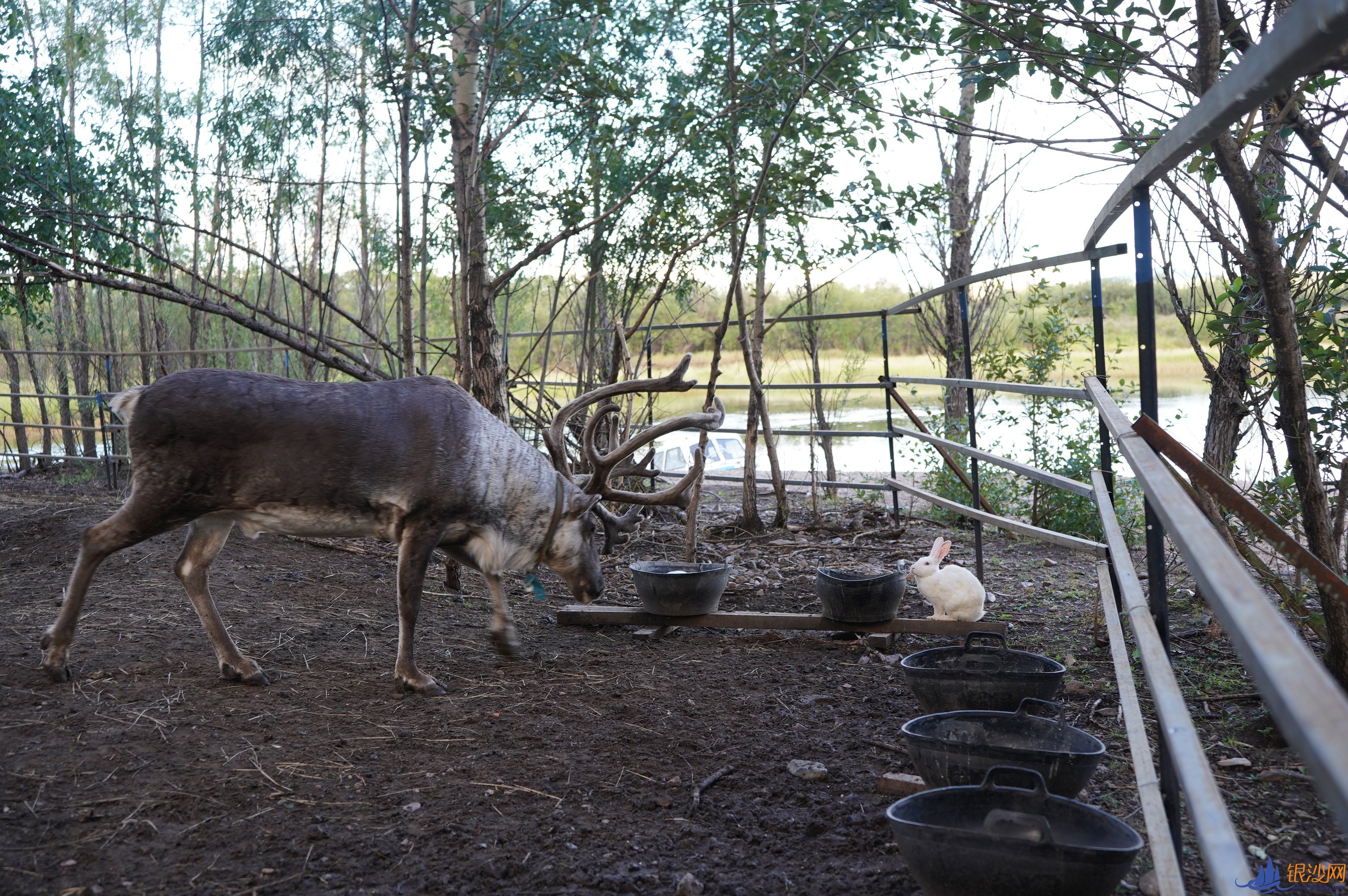  ���Ҹ������±߽���������ɹ���ʪ�ع�԰���������޴� �Դ�������--տ���̺���ɳ��