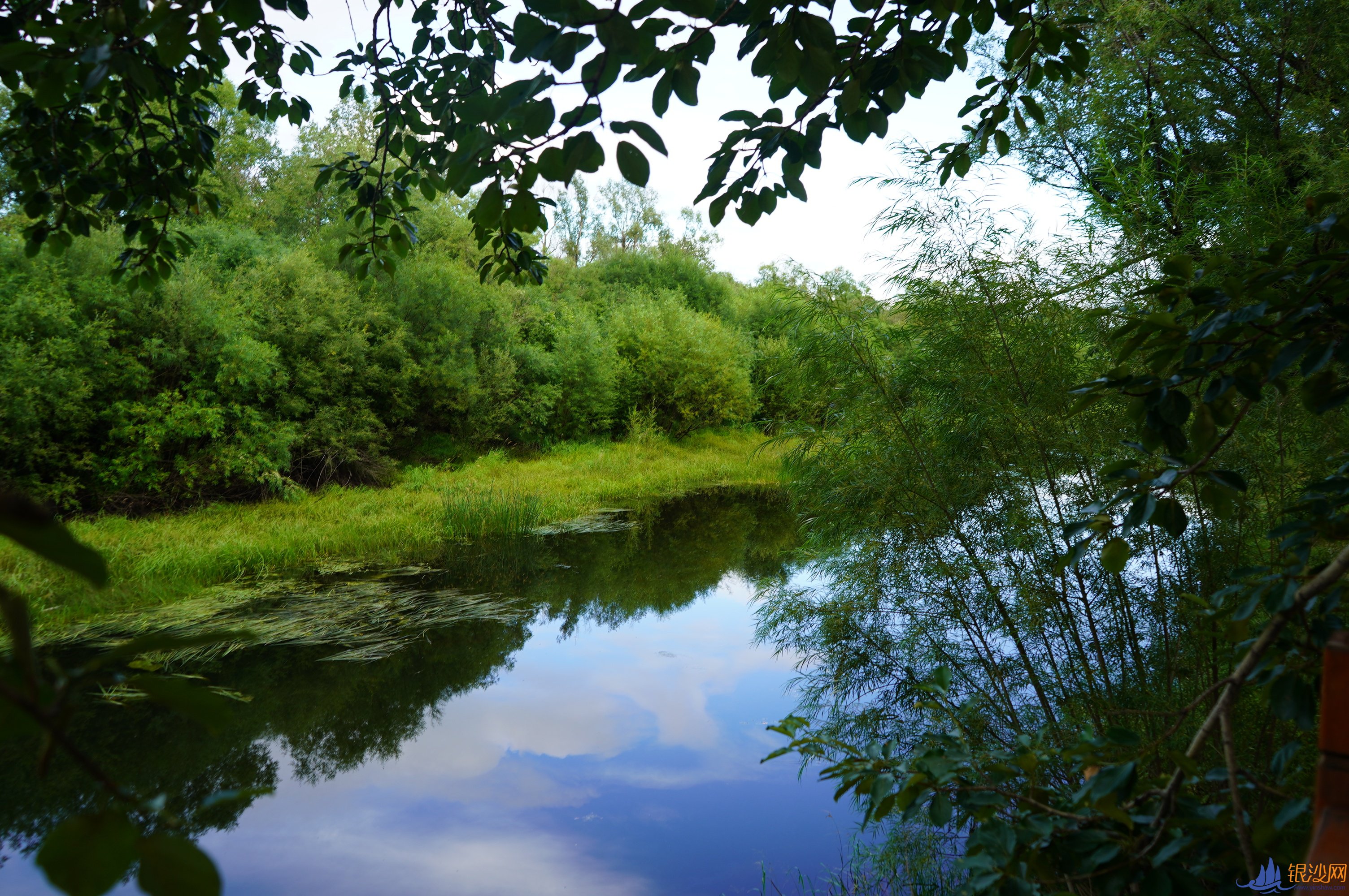  ���Ҹ������±߽���������ɹ���ʪ�ع�԰���������޴� �Դ�������--տ���̺���ɳ��