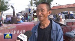 【走向我们的小康生活】山西大同云州区:小黄花做成