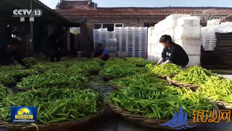  ���������ǵ�С�����ɽ����ͬ��������С�ƻ����ɴ��ҵ--�̺���ɳ��̳