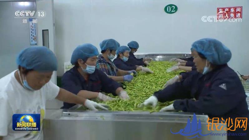  ���������ǵ�С�����ɽ����ͬ��������С�ƻ����ɴ��ҵ--�̺���ɳ��̳