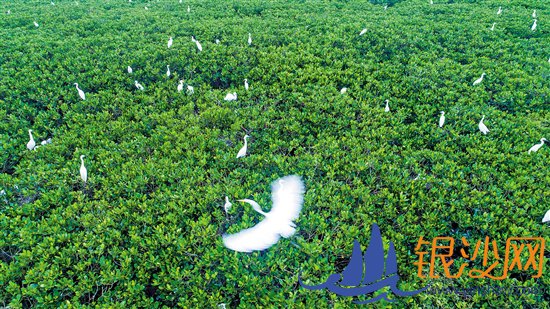 九大措施助力自然资源领域改革 探索国有土地使用权续期操作路径--碧海银沙论坛