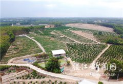 ����90����ũ�ˡ�����ũ�¸�·