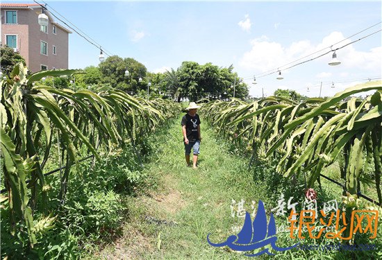 ��������� ����С��·