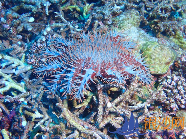 ɺ���ϵĳ�������