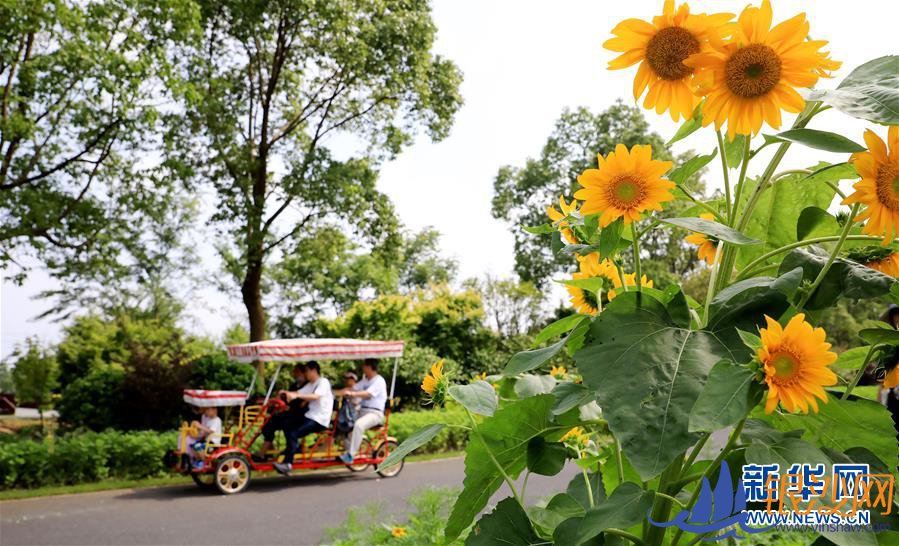 走向我们的小康生活|城市,让人民生活更美好
