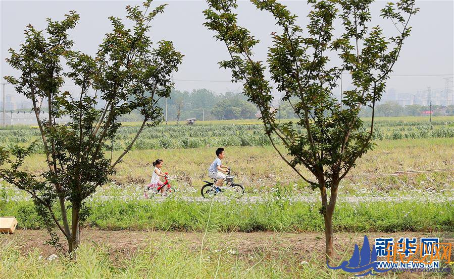 走向我们的小康生活|城市,让人民生活更美好