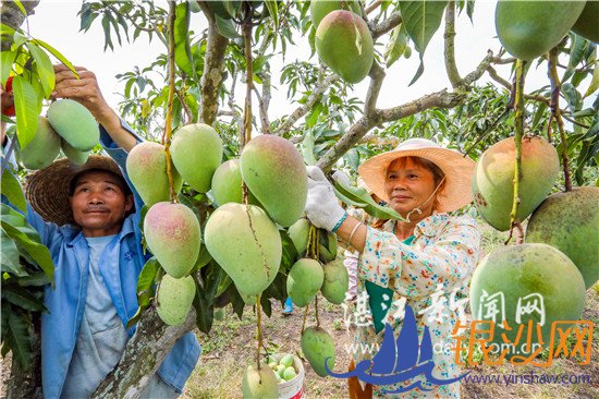 տ��91����4�����ϰ�