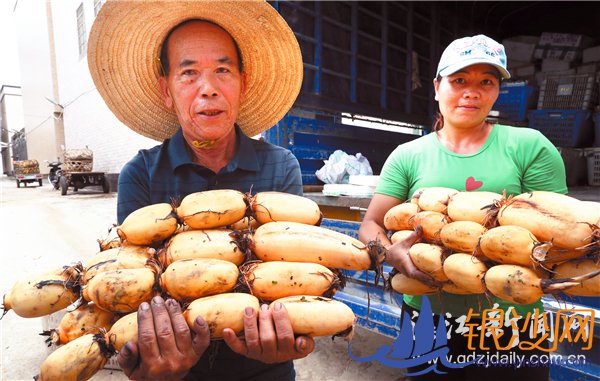 �������δ�ׯ���� ������ΰ���Ц��