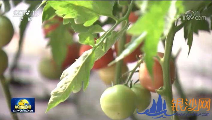  ���������ǵ�С�������չ������ɫ��ҵ ����徭��ת��