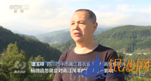 焦点访谈丨有了一技之长,贫困户的生活变化有多大?