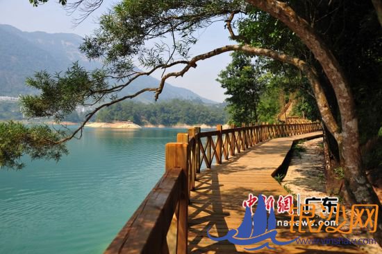 广东一湖边修建的木栈道(资料图)。广东省林业局 供图 广东一湖边修建的木栈道(资料图)。广东省林业局 供图