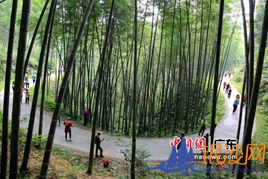 广东省河源市和平县东江缘森林旅游特色线路(资料图)。广东省林业局 供图 广东省河源市和平县东江缘森林旅游特色线路(资料图)。广东省林业局 供图