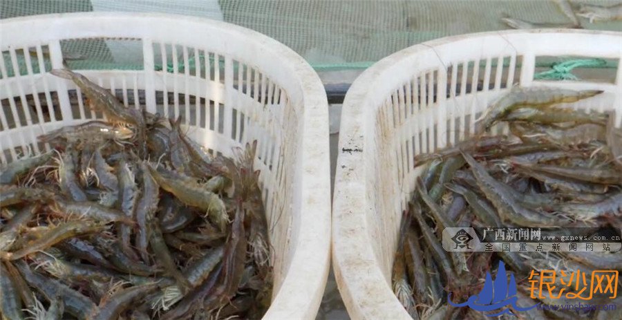 【你笑起来真好看】凝聚广西人力量 夺取脱贫攻坚战全面胜利