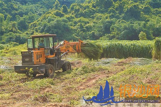  ����Ц������ÿ������۹��������� ��ȡ��ƶ����սȫ��ʤ��