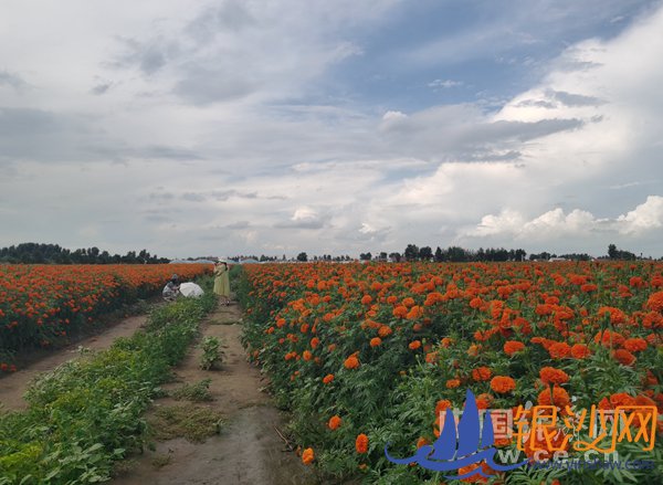  ���Ҹ������±߽����ӿ���Է��������ݳԷ� �ǻ�ũҵ������������ѿ