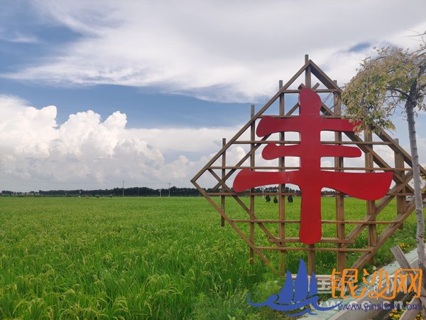  ���Ҹ������±߽����ӿ���Է��������ݳԷ� �ǻ�ũҵ������������ѿ